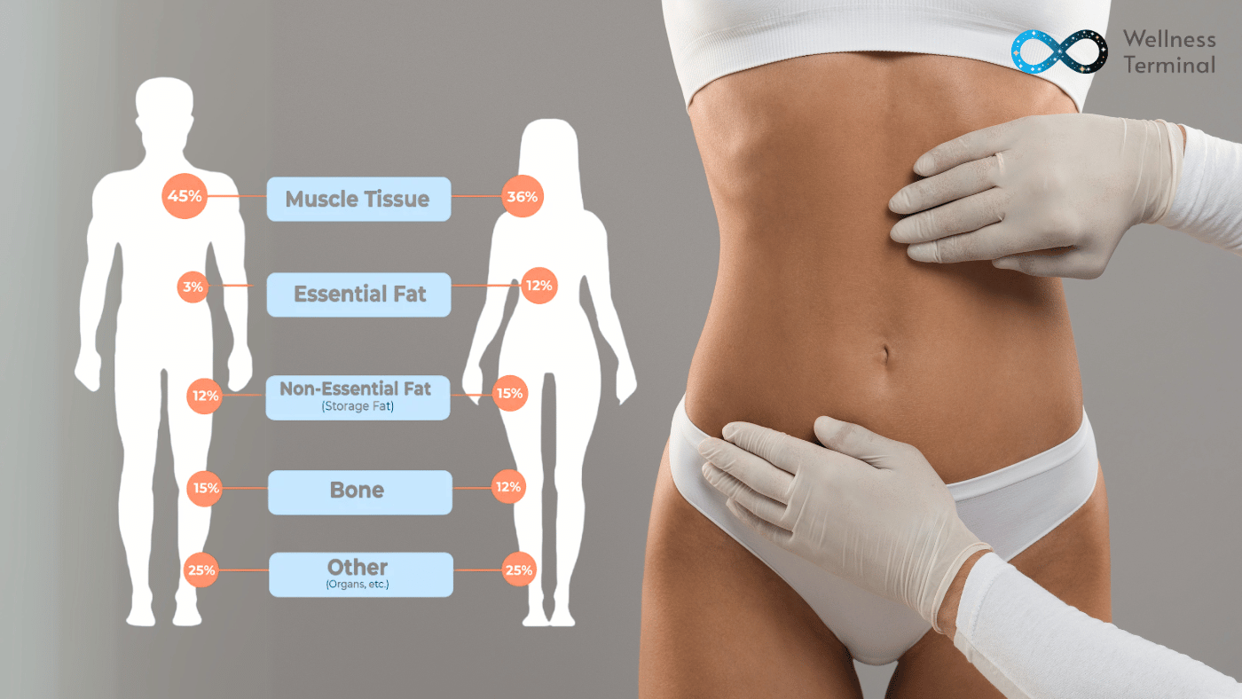 How to Improve Your Body Composition?