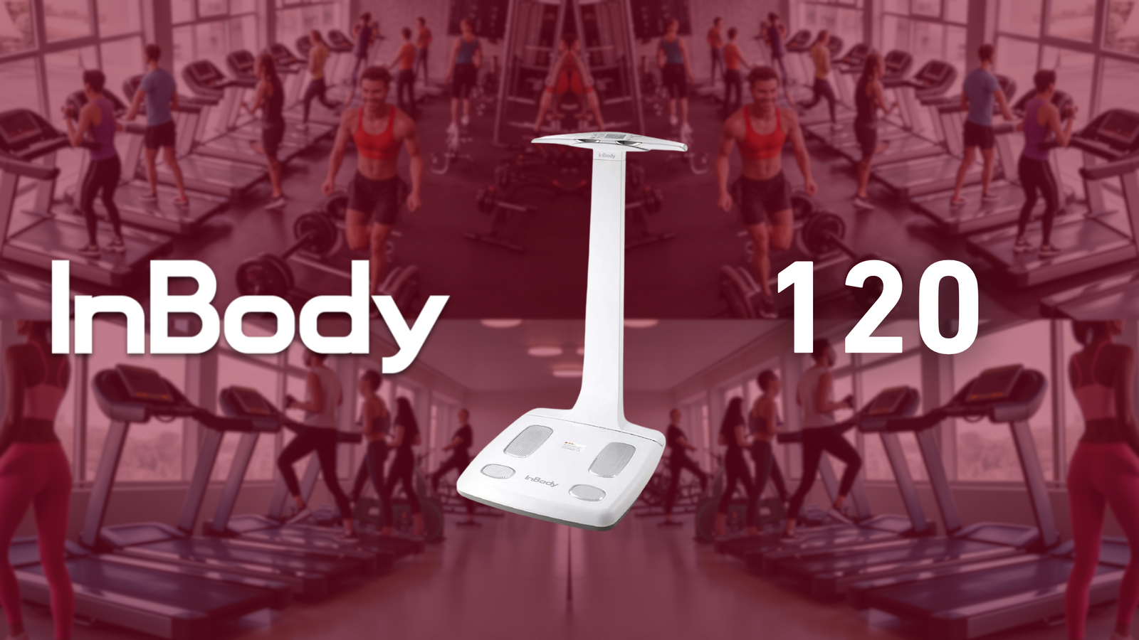 Inbody 120 Review