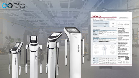 InBody Test. How to Read Your InBody Scan Results