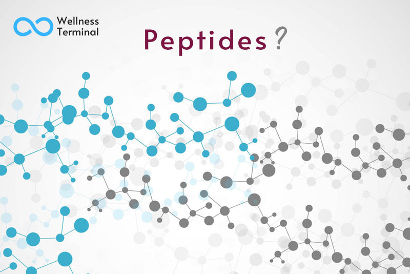 Peptides: What Are They and Why Do You Need Them?