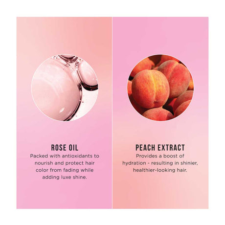Hask Color Care Rose & Peach Color Protection Deep Conditioner Packette 50g (5 pcs)