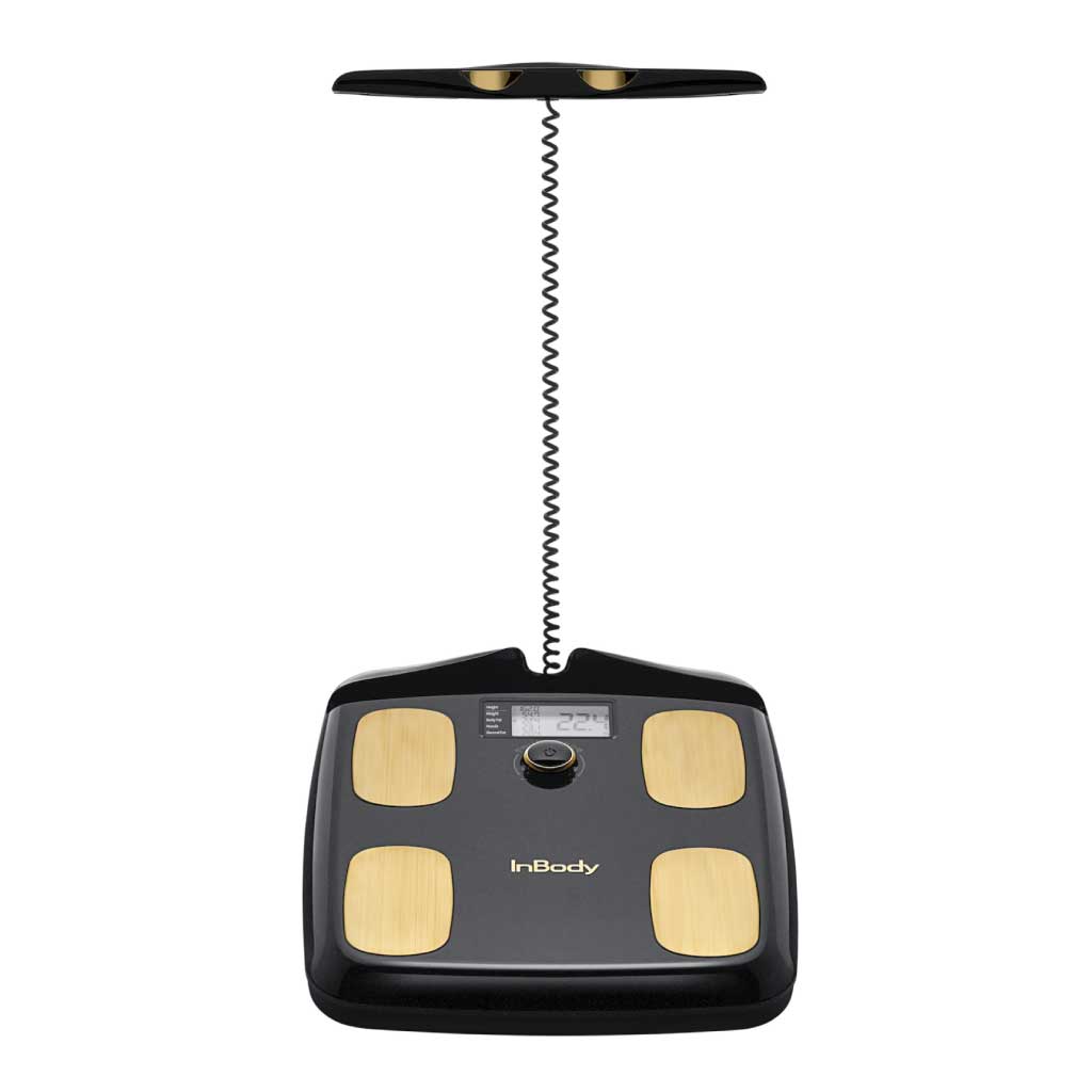 inbody-dial-h20n-body-fat-scale-2