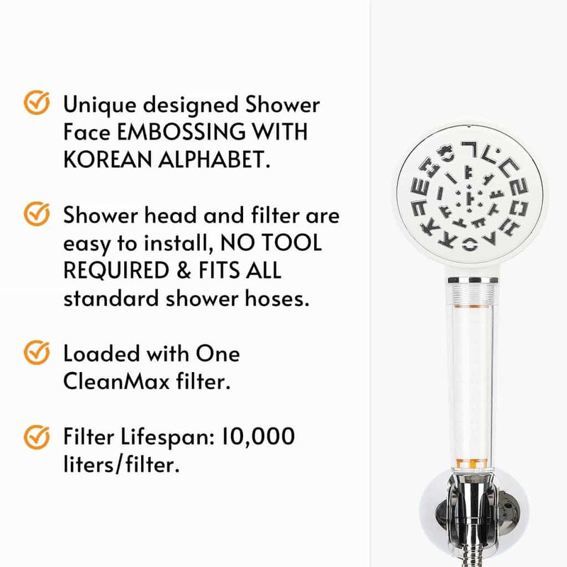 vitapure k rain cleanmax showerhead filter